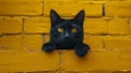 A black cat with yellow eyes peeking over a brick wall, AI Royalty Free Stock Photo