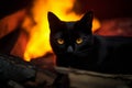 a black cat with yellow eyes sitting in front of a fire Royalty Free Stock Photo