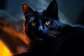 a black cat with yellow eyes sitting in front of a fire Royalty Free Stock Photo