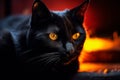 a black cat with yellow eyes sitting in front of a fire Royalty Free Stock Photo