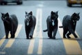 black cats in business suits cross the road, created with Generative AI technology