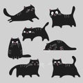 Black cats different poses and emotions set. Disappointed, angry, sleeping, relaxing, happy and cheerful cats. Pets animals collec Royalty Free Stock Photo