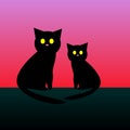 black cats, halloween with cats at night Royalty Free Stock Photo