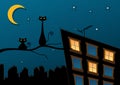 Black cats in night town Royalty Free Stock Photo