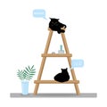 black cats sleep on a rack