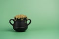 Black cauldron pot with a clover charm and gold beads on green background Royalty Free Stock Photo