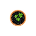 Black caviar in a brown bowl with parsley twig. place for text. label template. Luxury