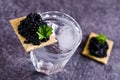 Black caviar on a cracker Royalty Free Stock Photo