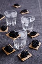 Black caviar on a cracker Royalty Free Stock Photo