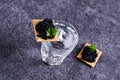 Black caviar on a cracker Royalty Free Stock Photo