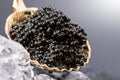 Black Caviar in golden spoon on ice. High quality natural sturgeon black caviar close-up. Delicatessen