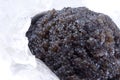 Black caviar in ice Royalty Free Stock Photo