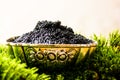 Black caviar, luxurious delicacy appetizer. Royalty Free Stock Photo