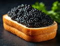 Black caviar sandwich on the table Royalty Free Stock Photo