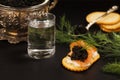 Black caviar served on crackers with vodka and additives