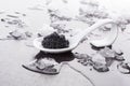 Black caviar on spoon. Royalty Free Stock Photo