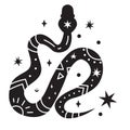 Black celestial silhouette snake. Isolated symbol. Vector illustration Royalty Free Stock Photo