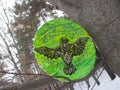 Black Celtic Eagle on a green background.