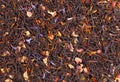 Black Ceylon tea with candied fruit, saffron, rose and cornflower petals. Organic tea background. Top view. Close up.