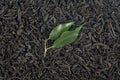 Black Ceylon tea - Top view of black tea background with green leaves. Black tea as background