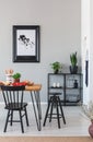 Black chair and stool at wooden table in grey dining room interior with plants and poster. Real photo Royalty Free Stock Photo