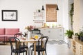 Black chairs at dining table in open space interior with poster above pink sofa and plants. Real photo with blurred background Royalty Free Stock Photo