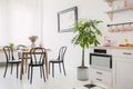 Black chairs at table with flowers in white dining room interior with plant and kitchenette. Real photo