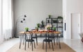 Black chairs at wooden table with food in grey dining room interior with plants and lamp Royalty Free Stock Photo