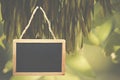 Black chalk board hanging from a tree. Royalty Free Stock Photo