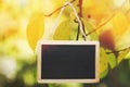 Black chalk board hanging from a tree on yellow, bright background Royalty Free Stock Photo