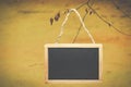 Black chalk board hanging from a tree on yellow, bright background Royalty Free Stock Photo