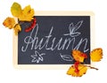 Black chalkboard with handwritten chalk lettering ÃÂ«AutumnÃÂ» and hawthorn yellow leaves and berries