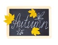 Black chalkboard with handwritten chalk lettering ÃÂ«AutumnÃÂ» and yellow maple leaves