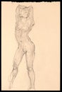 Artistic Nude Sketch of a Model in Poised Elegance Royalty Free Stock Photo