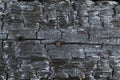 Part of the charred timber and rusty nail background