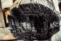 A charred log on the inside burnt Royalty Free Stock Photo