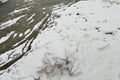 The Black Cheremosh River is covered with ice and snow