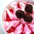 Black cherries ice cream Royalty Free Stock Photo