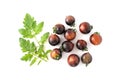 Black cherry tomatoes on a white background. Indigo tomatoes isolated Royalty Free Stock Photo