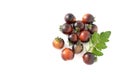 Black cherry tomatoes on a white background. Indigo tomatoes isolated Royalty Free Stock Photo