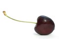 Black cherry on white Royalty Free Stock Photo
