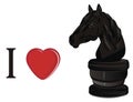 I love chess Royalty Free Stock Photo