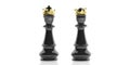 Black chess king and queen with crowns on white background. 3d illustration Royalty Free Stock Photo