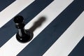 Black chess piece queen casts a shadow diagonally. stripes are black and white. a different game