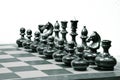 Black chess pieces on the board. Black and white photo. Royalty Free Stock Photo