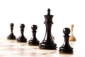 Black chess pieces with white pawns in the background on a chessboard Royalty Free Stock Photo