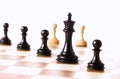 Black chess pieces with white pawns in the background Royalty Free Stock Photo