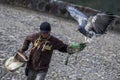 A Black-chested Buzzard eagle lands on the gloved hand of a bird handler at Condor Park in Otavalo in Ecuador.