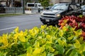 Black Chevrolet SUV on Kalakaua Avenue, Honolulu, Hawaii, USA Royalty Free Stock Photo