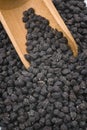 Black chickpea of the Murgia (Italy) Royalty Free Stock Photo